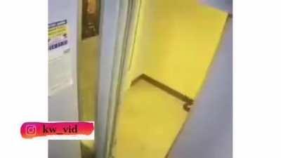 It’s like watching an action movie right from the climax fight