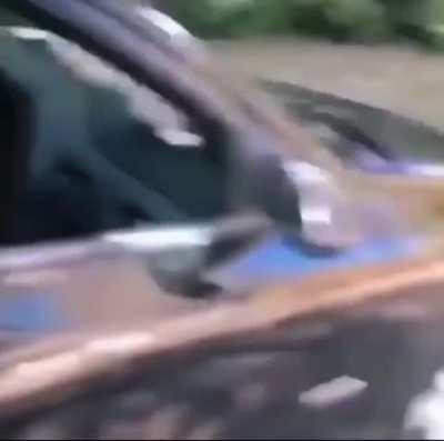 Sounds like the cats are hearing “Parkour” , love this though ;)