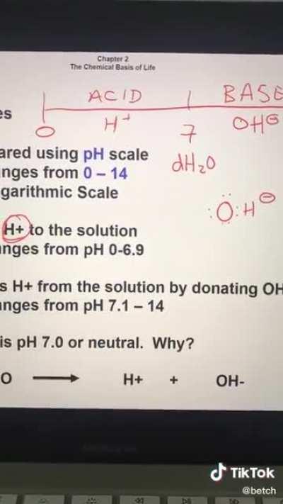 proof that younger siblings are the devil (still adorable though)