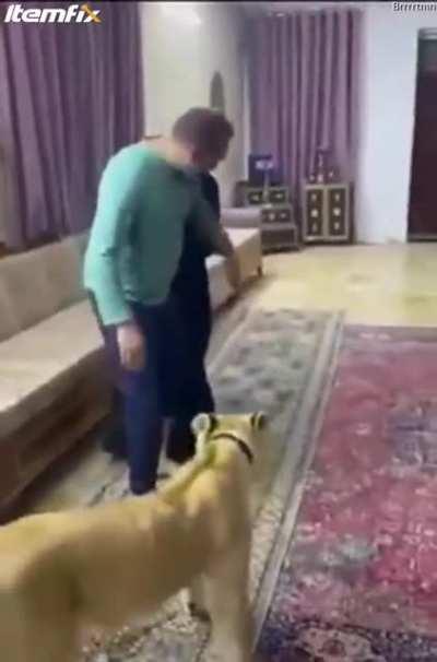 Thank God, the animal was in a good mood