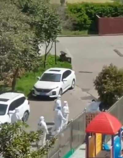 这个视频全网封杀了吧、在这里备份一下吧、