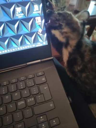 Hardware quality control