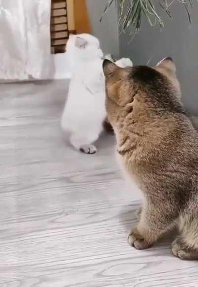 I’m gonna sneak up on you, no no I’m good