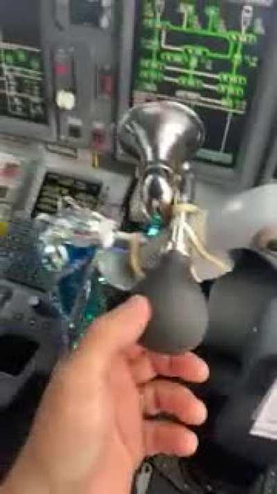 Got hired somewhere else biznatches! LAST TRIP VIBES!!!