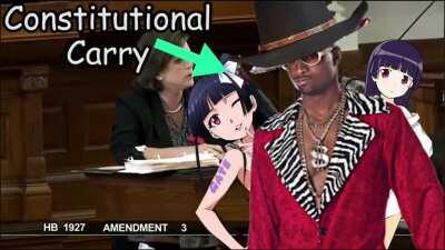 We can't have constitutional carry, imagine all the Wild West Pimps we'd have!?
