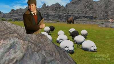 How Island Sanctuary players are going to be like