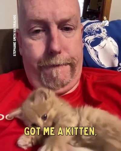 Dad who hates cats is given a kitten for Christmas