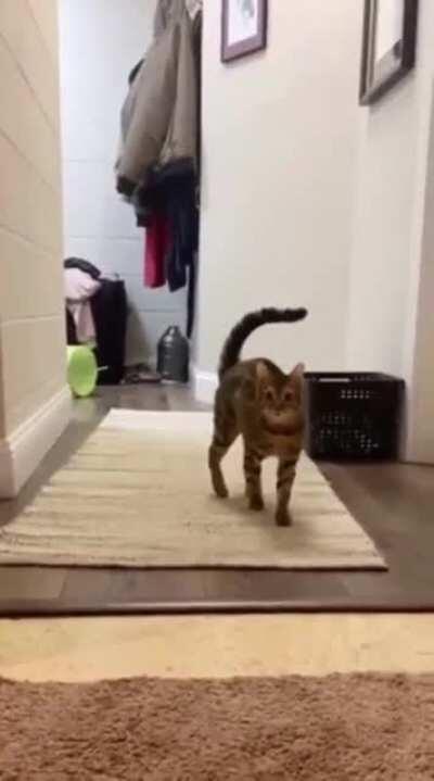 A glitch in the matrix