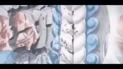 Arlong Didn’t Stand a Chance