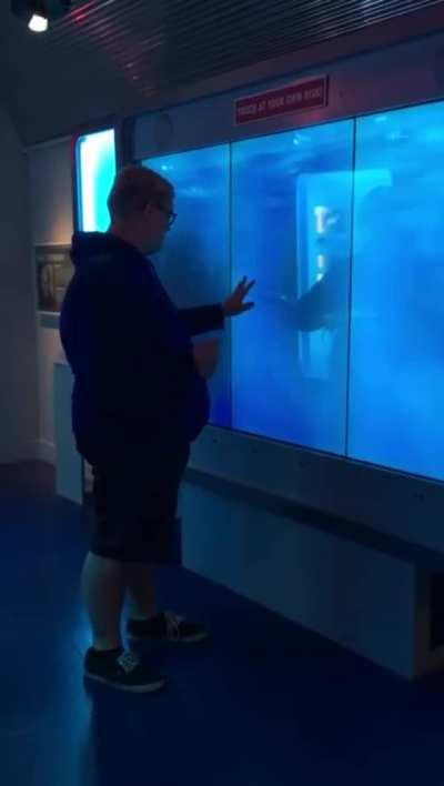 If it was a snake……