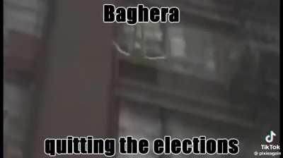 QMSP member slanders