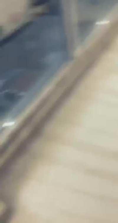 I didn't realize they had drive thru grocery stores now