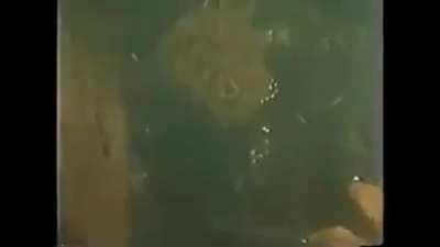 Primor do cinema nacional