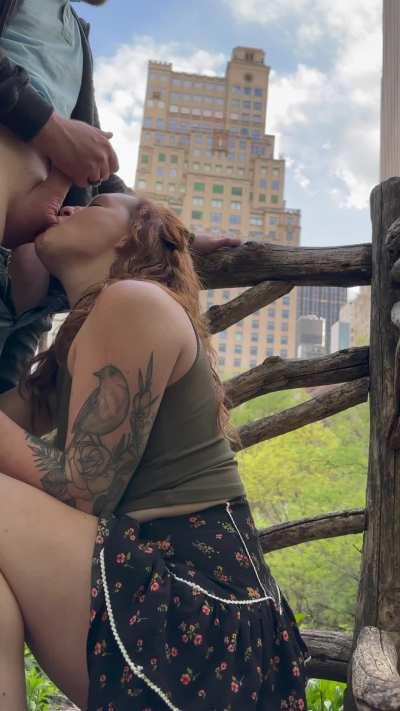 How about some ball sucking with a view!