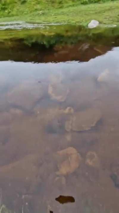 A newly formed natural spring