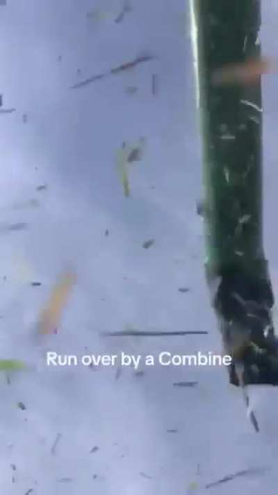 And now we know what it’s like.