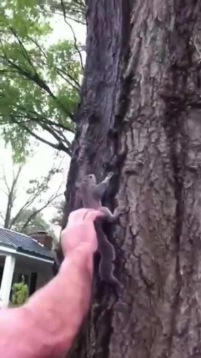 Awww... wait what NOOO