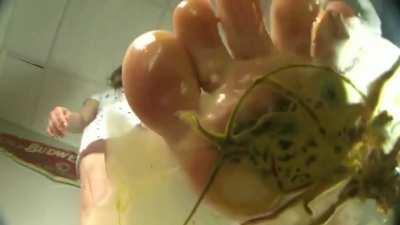 Jenny Crush 362 barefoot craws ug