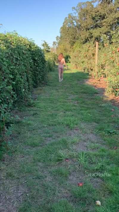 We’ll make an apple pie since I already have the cake