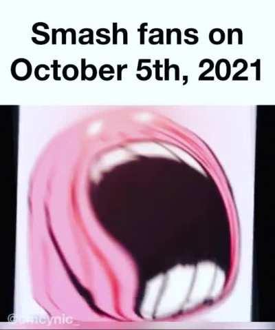 It's going to be an emotional roller coaster for smash fans
