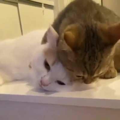 That clingy over loving friend :)