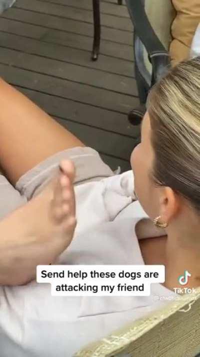 @cha0ticburnette toes