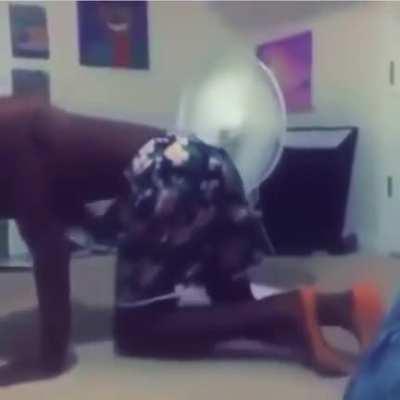 Guy puts his dick on a fan