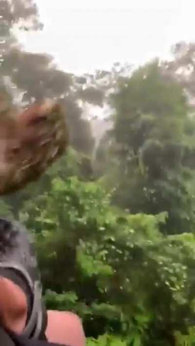 Это надолго