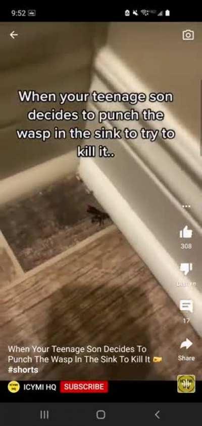 All that for one wasp