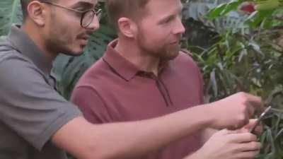 Communist Corporation