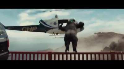 The Arrival Of The Apes: January To April