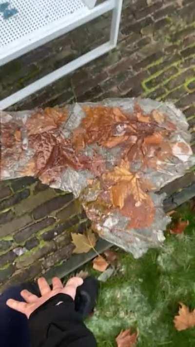 Is this good enough for all of you out there?