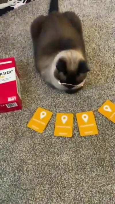 Posting a random video I have saved, day 1