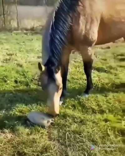 Come out and play with us!