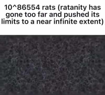 R(at)ule The Grand Finale