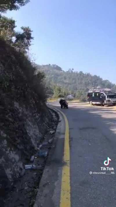 what do you call this? 🤣