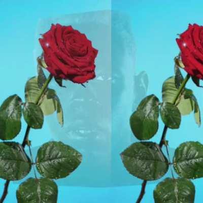 ROSE TINTED CHEEKS X I DONT LOVE YOU ANYMORE MASHUP