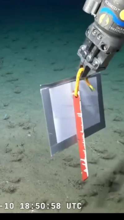 Argentina se est&aacute; garchando a todos!!