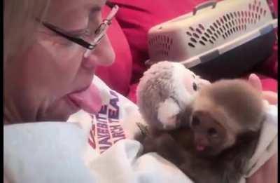 Little monkey is copying her mama