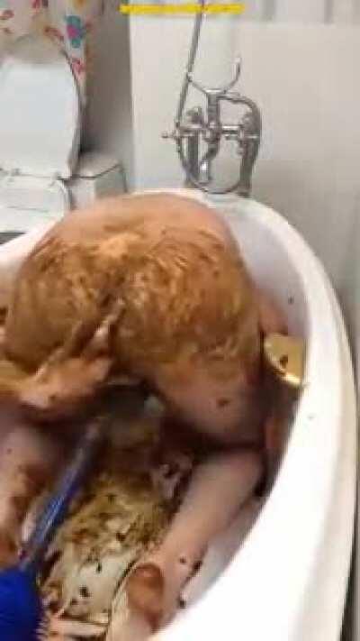 This is a monke🙏🙏🙏🙏🙏🙏