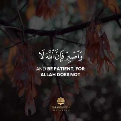 Quranic motivation!!