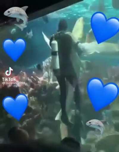 [No Spoilers] Me with the bonesharks trying to loot the floating islands wreck
