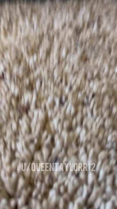 Here’s the B/G bugs bunny challenge you’ve been waiting for 🤪