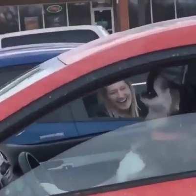 Can’t get mad at the dog