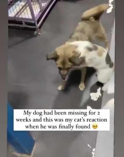 Just ...just staight up adorable loving  wunk man no jokes just feelings 🥲