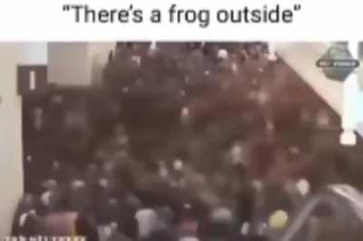 Forg🐸