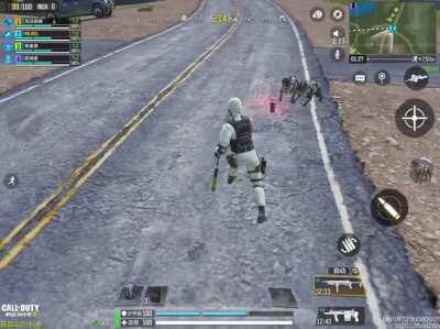 Clown class but they are dogs..