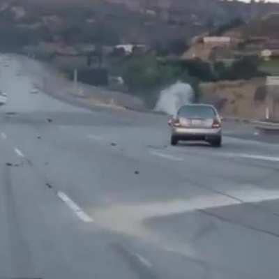 Never Witness Such Power in Kick Before