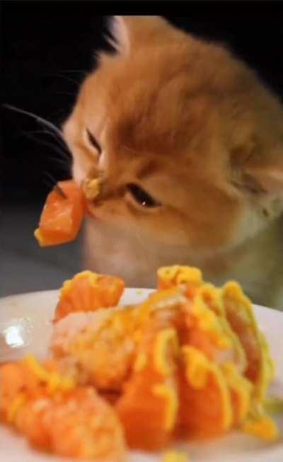 Overdose of cuteness