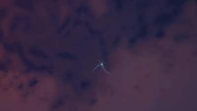 This is how the Rift appeared. The clip is one minute long because I wanted to capture the sound effects as well